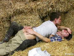 Sweet teen twinks are hotly kissing and fondling on hayloft